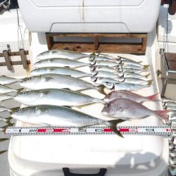 SOUTH チャーター便5名様釣果