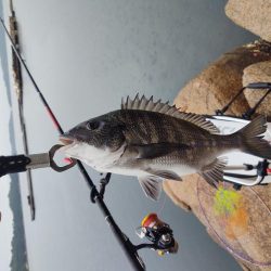 本浦海岸で磯釣り＆渚釣り