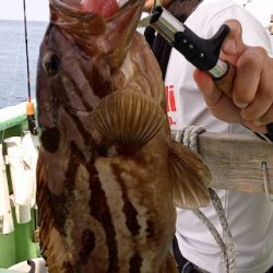 康仁丸・ジギング釣り果