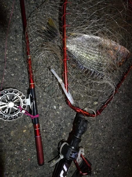 2021/07/27 南港ヘチ釣り