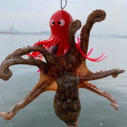 雨で少しは変わると思いきや