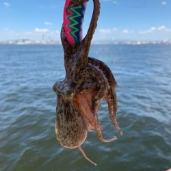 渋い?渋くない?どっち?