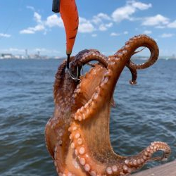 500gが2杯、400gが3杯、計23杯