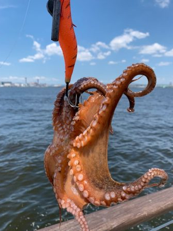 500gが2杯、400gが3杯、計23杯