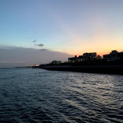 大サバ結構釣れました