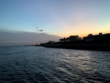 大サバ結構釣れました