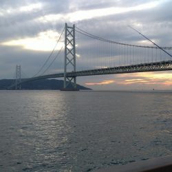 大サバは釣れるけど…