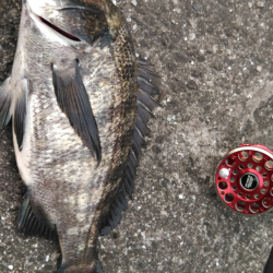 バラシ連発攻略