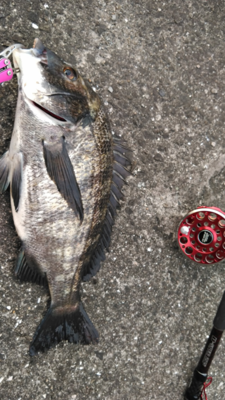 バラシ連発攻略