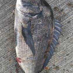 スライダー炸裂!