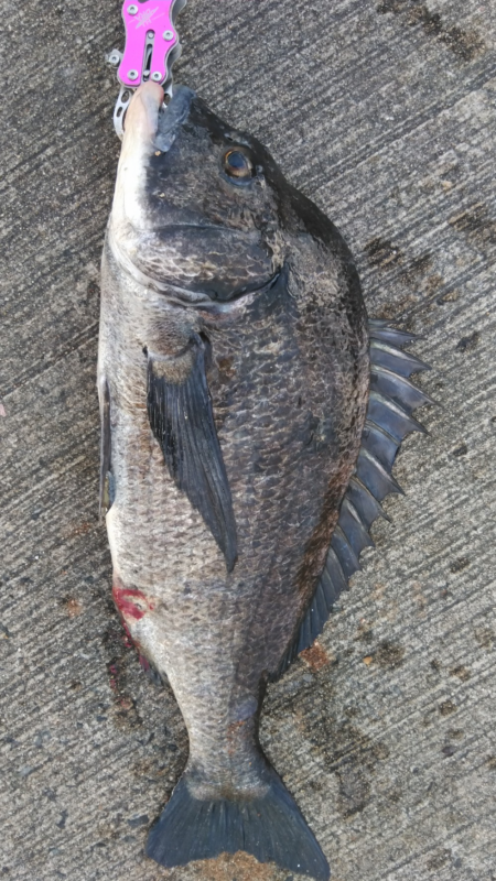 スライダー炸裂!