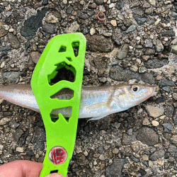 姫路のキス好調ながらもアタらない時間が長い