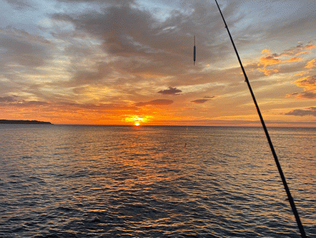 鳥取のキスとアジ調査