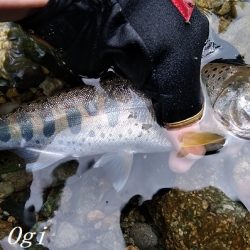 引原川本流にはロマンがある