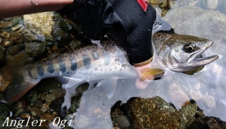 引原川本流にはロマンがある