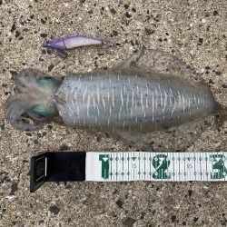 A.P.Pフィッシングガイドサービス グラドロ100ライドオン!