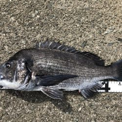 イチノ兄弟、釣果！