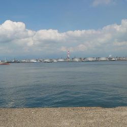 カッサーの無限ループ