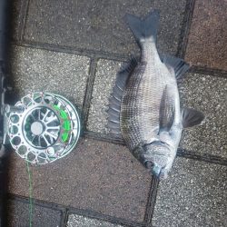 今年初 年無し ~さざなみ公園~