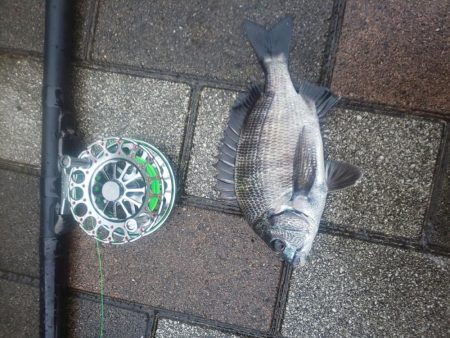 今年初 年無し ~さざなみ公園~