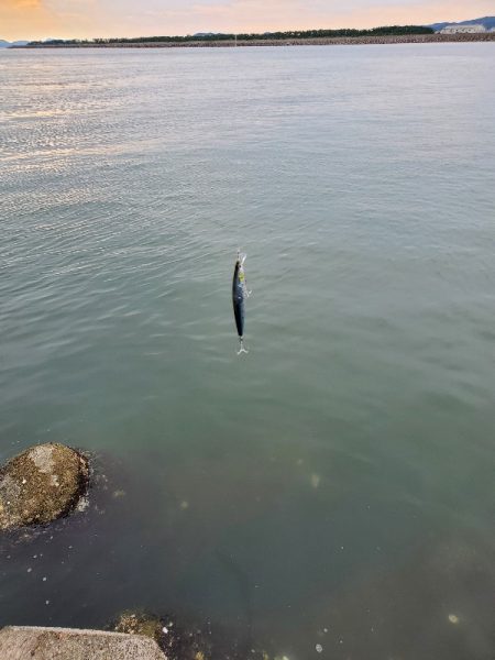 久々の釣行！フラッシュブースト！！