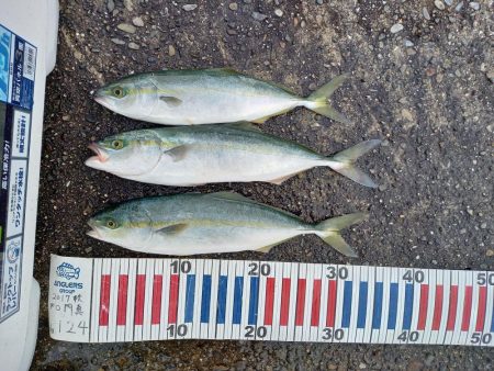 小浦一文字遠征