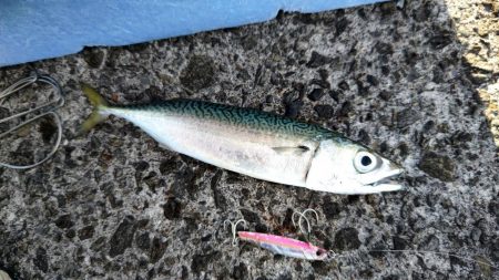 尺には届かない