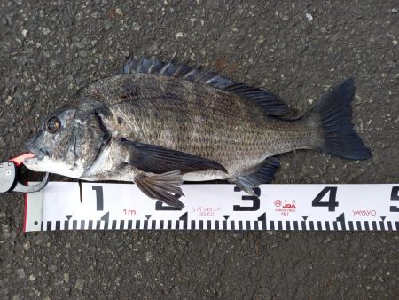 朝のトップで連続ヒット