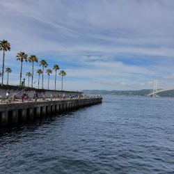 プチ親子サビキ釣り
