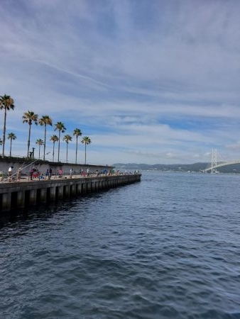 プチ親子サビキ釣り