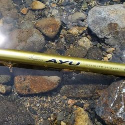 紀ノ川支流にて