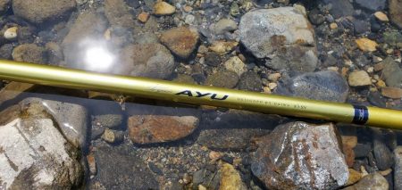 紀ノ川支流にて