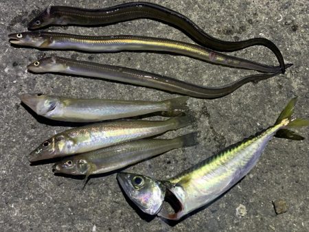 おちょぼ口のあいつ