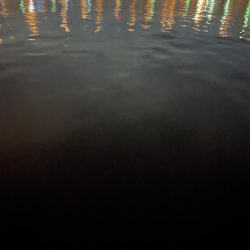 アジはどごに…