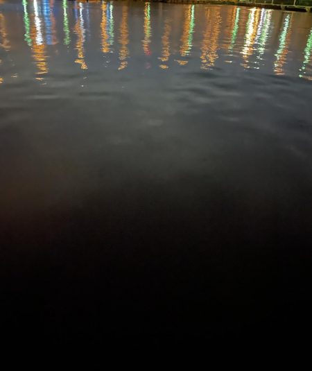 アジはどごに…