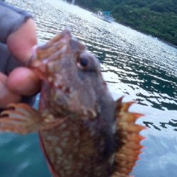 鏡面ベタ凪で苦戦