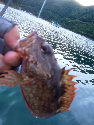 鏡面ベタ凪で苦戦