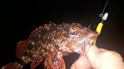 ライトゲーム三人衆