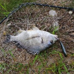 インパクトのある１日。