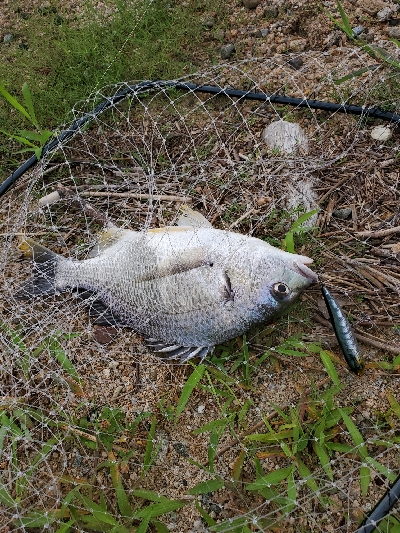 インパクトのある１日。