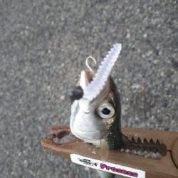 サバゲーはアジングの練習~