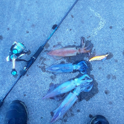 無から一転時合突入