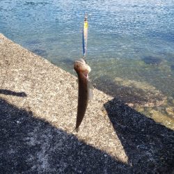 まだちょっとはやい？