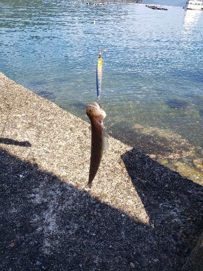 まだちょっとはやい？