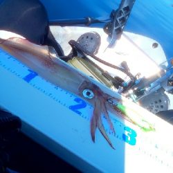 初ｶﾔｯｸﾌｨｯｼﾝｸﾞ