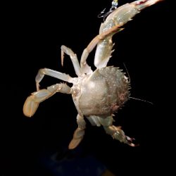 仕事終わりに②