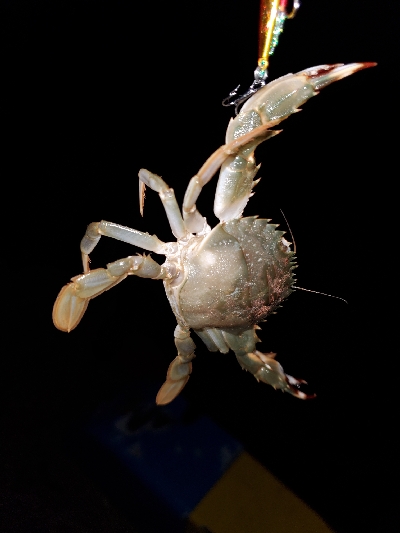 仕事終わりに②