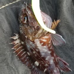 またまた仕事帰りに