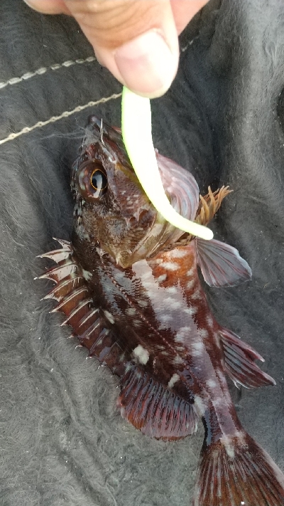 またまた仕事帰りに