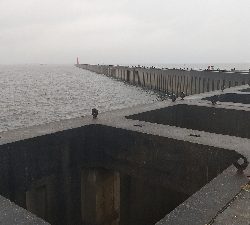 雨の中沖堤防で
